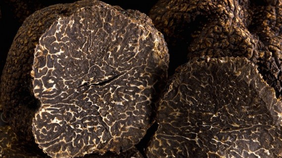 La truffe noire, idéale avec le Mont d'Or