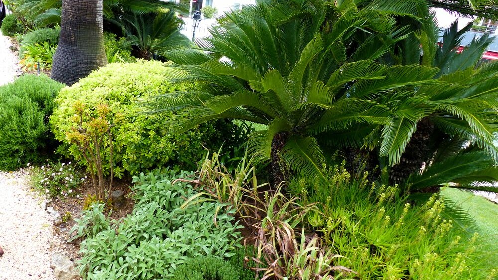 Qui soupçonnerait que c'est ici le potager de Emanuele Balestra ?