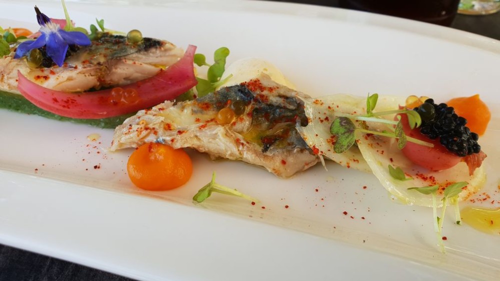 Le Maquereau et sa glace moutarde à l’ancienne/pétales de fenouil condiment concombre/œufs de harengs fumés