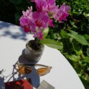 Se poser là... Une belle adresse : le Relais des Moines, la table de Sébastien Sanjou, ambiance