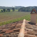 Anne, ma soeur Anne, ne vois-tu rien venir ? Le Mas des Candeliers, Château Roubine