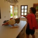 Je t'avais prévenu ! Combat de coq, Mas des Candeliers, Château Roubine