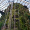 Singapour - Cloud Forest Dome