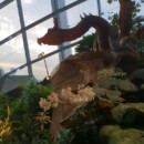 Le dragon, mon signe astrologique chinois Singapour - Cloud Forest Dome