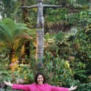 Singapour - Cloud Forest Dome