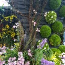 Singapour - Cloud Forest Dome