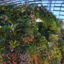 Singapour - Cloud Forest Dome