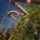 Singapour - Cloud Forest Dome