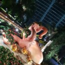 Singapour - Flower Dome