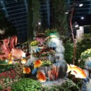 Singapour - Flower Dome