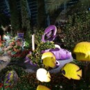 Singapour - Flower Dome