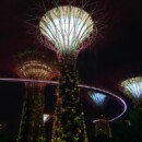 Singapour - On aperçoit le pont dans la canopée