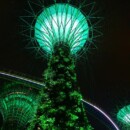 Singapour - Les arbres s'éclairent et changent de lumière