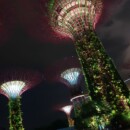 Singapour - Les arbres s'éclairent et changent de lumière