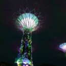 Singapour - Les arbres s'éclairent et changent de lumière