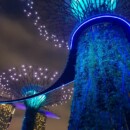 On aperçoit le pont dans la canopée Singapour - On aperçoit le pont dans la canopée