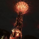 Singapour - Les arbres s'éclairent et changent de lumière