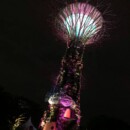 Les arbres s'éclairent et changent de lumière Singapour - Les arbres s'éclairent et changent de lumière